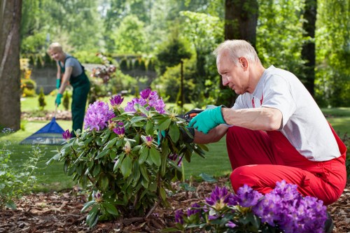 Garden maintenance crew clearing a densely overgrown back garden in Balham
