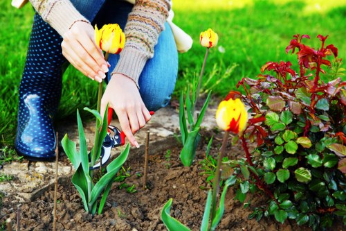Team of lawn care experts at work in Balham