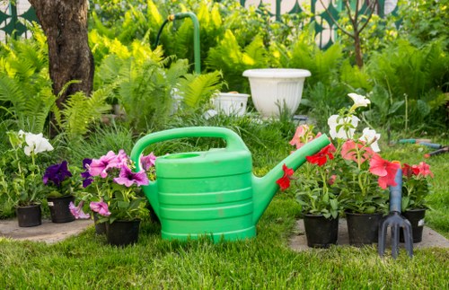 Professional lawn mowing service in Balham