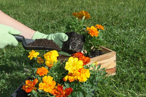 Beautiful garden maintained by Balham lawn mowing experts